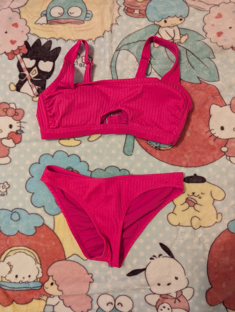 Hot Pink Ribbed Bikini - Picture 4 of 9